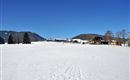 Thaler Johanna Winter Header