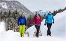 thumb-rodeln-in-der-region-st.-johann-in-tirol