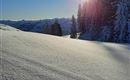 Tiefschnee