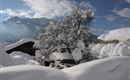 tiefster Winter