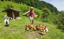 Tiere am Bauernhof