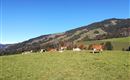 Tierwohl am Schusterhof