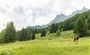 wandern