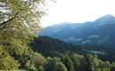 Weitblick