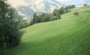 Wiesen