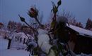 winter 016