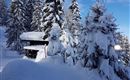 Winter_2
