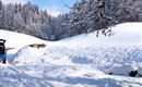 Winter Bild 2