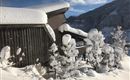 Winter2019