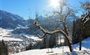 Winterausblick