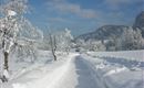 Winteridylle 2012 013 - Kopie
