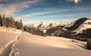 Winterlandschaft