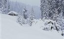 Winterlandschaft an der Tanzernabfahrt v. 04.01.19
