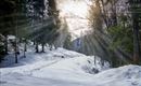 Winterwandern Riedenberg