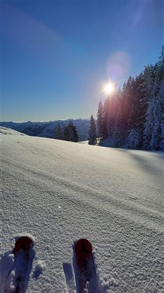 Tiefschnee