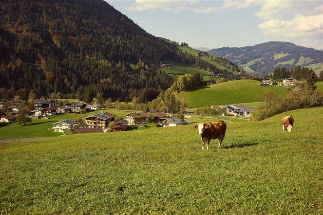 Umgebung Beim Rohrer