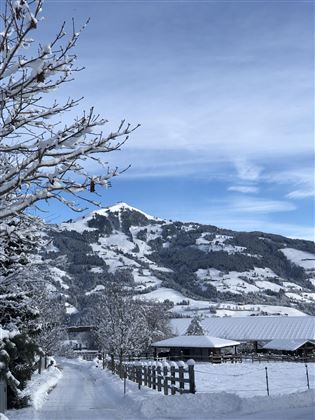 Umgebung - Winter