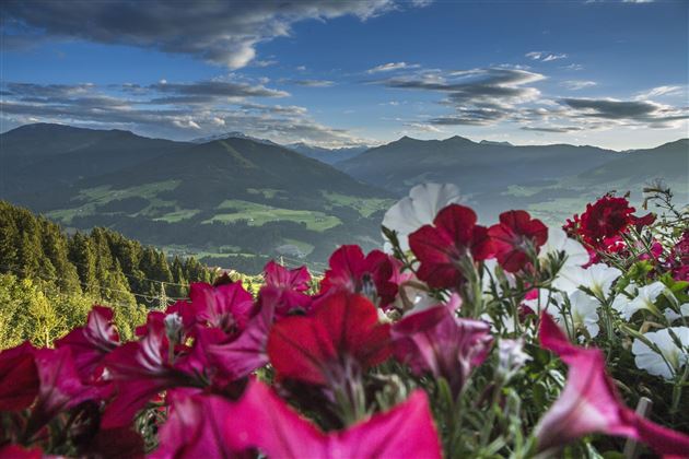 Unsere Aussicht...