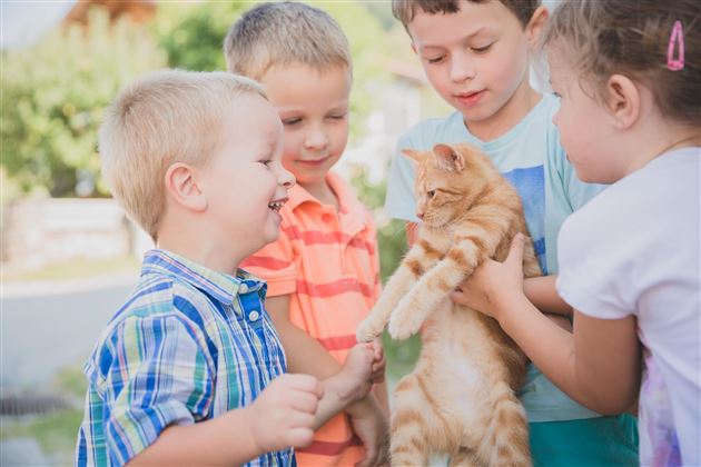 Unsere Katze Luise - eine echte Spielgefährtin.