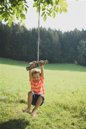 Unsere Schaukel unterm Nussbaum ist sehr beliebt.