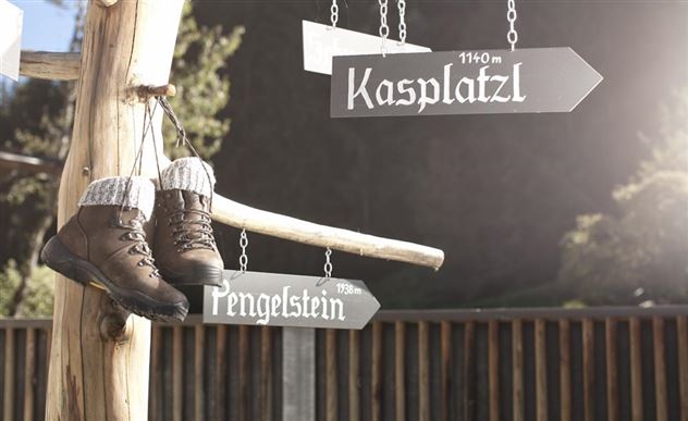 wanderbaum-bergschuhe-kasplatzl (2)