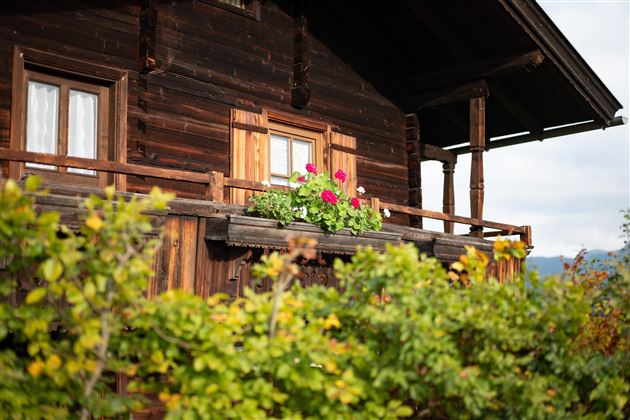 Weberhaeusl_Innerpenningberg_7_Hopfgarten_Haus_Det
