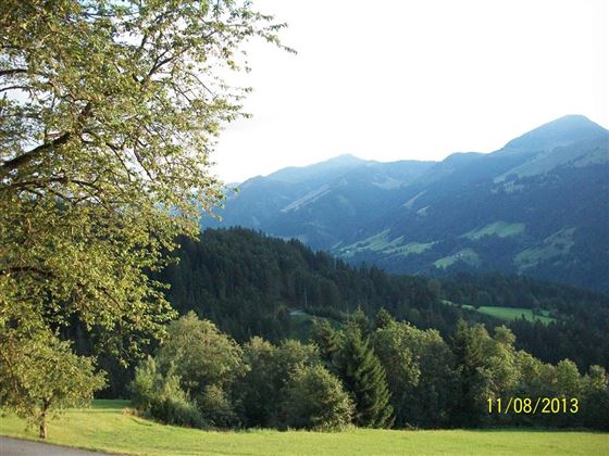 Weitblick