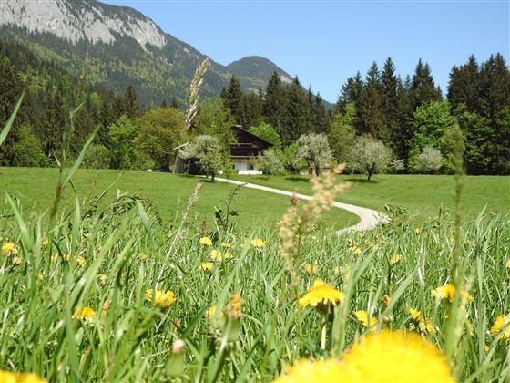 Wiese_Bauernhof Hintenberg_Itter