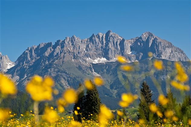 Wilder_Kaiser-1-3