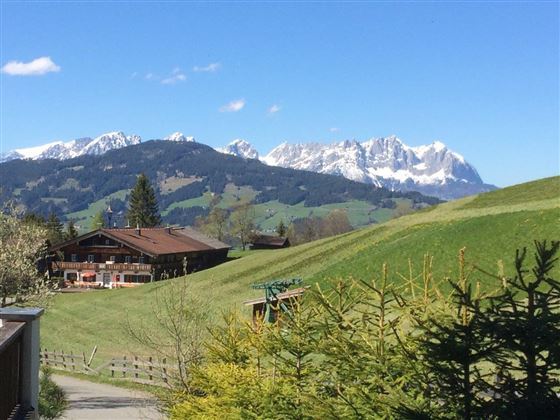 Wilder Kaiser_Frühling