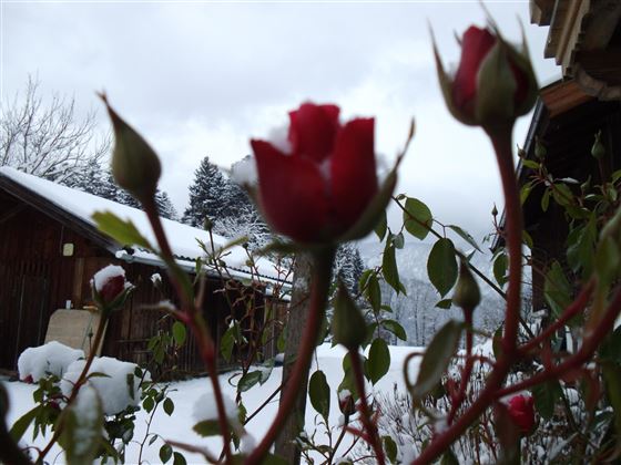winter 027