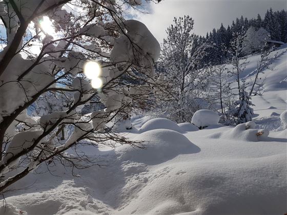 Winter_1