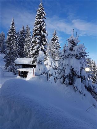 Winter_2