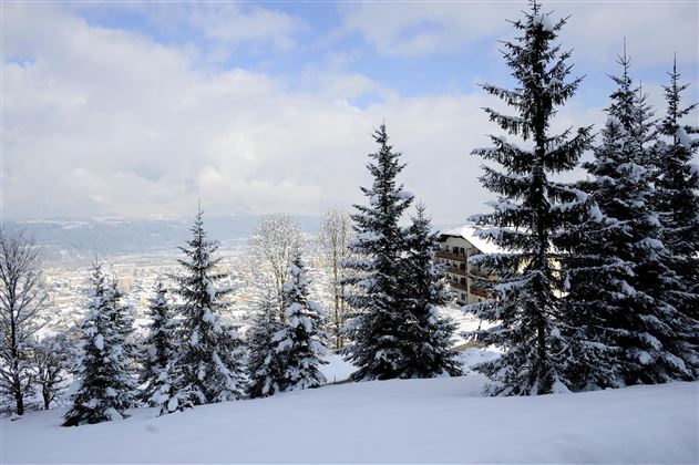 Winter