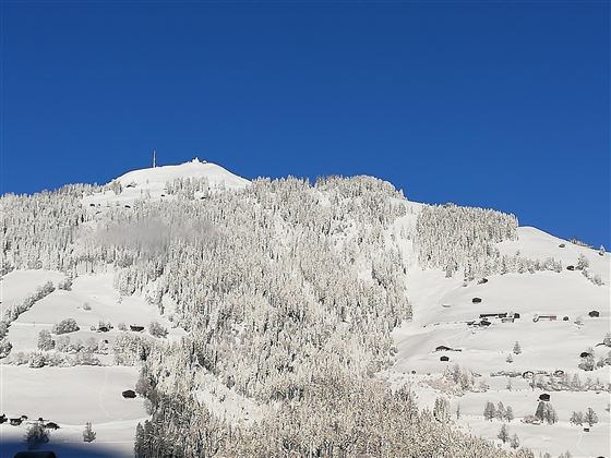 Winter-3