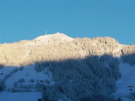 Winter-4