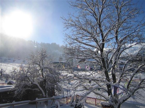 Winter