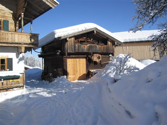 Winter