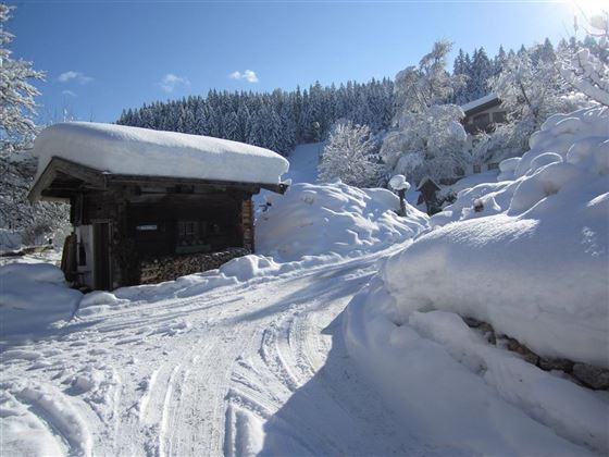 Winter