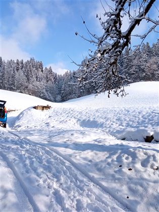 Winter Bild 2