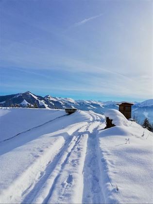 Winter-Impression
