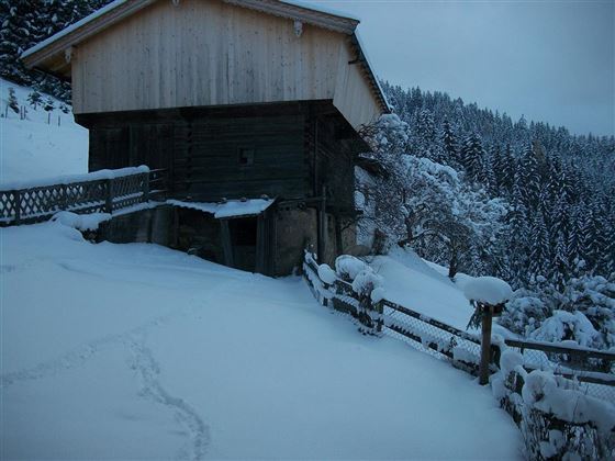 Winter vor dem Haus