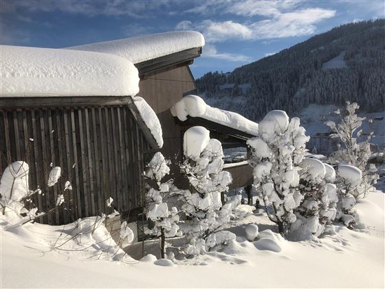 Winter2019