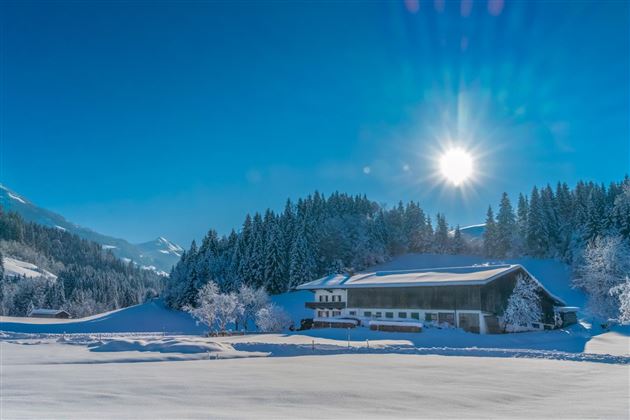 View in the winter