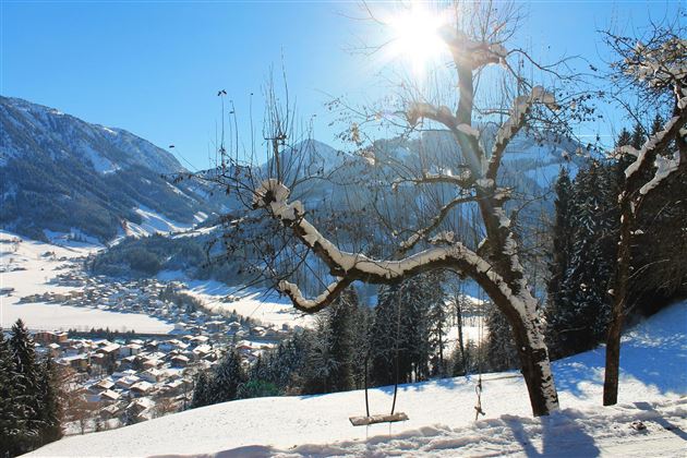 Winterausblick