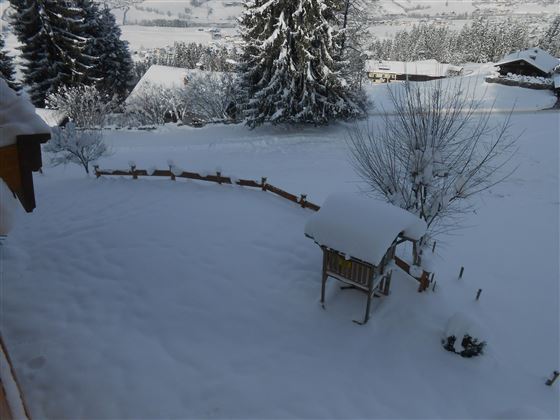 Winterfoto