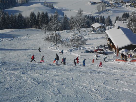 Winterfoto