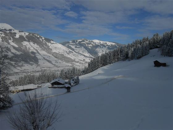 Winterfoto