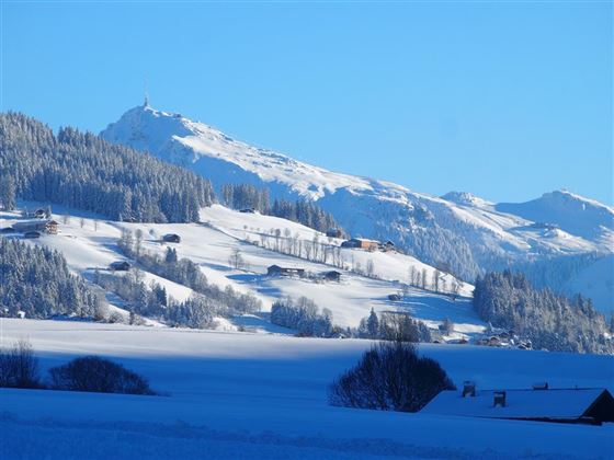 Winterlandschaft