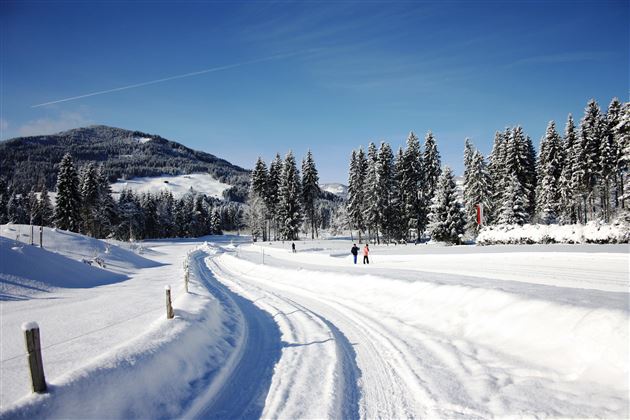 Winterlandschaft allgemein_Kitzbüheler Alpen_Steph
